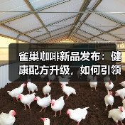 雀巢咖啡新品发布:健康配方升级,如何引领咖啡新趋势?(图4) 雀巢咖啡新品发布:健康配方升级,如何引领咖啡新趋势?(图4)