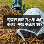 高营养素密度水果如何挑选?奇异果成健康饮食新宠(图2) 高营养素密度水果如何挑选?奇异果成健康饮食新宠(图2)