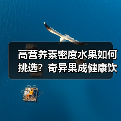 高营养素密度水果如何挑选?奇异果成健康饮食新宠(图3) 高营养素密度水果如何挑选?奇异果成健康饮食新宠(图3)