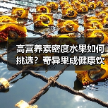 高营养素密度水果如何挑选?奇异果成健康饮食新宠(图4) 高营养素密度水果如何挑选?奇异果成健康饮食新宠(图4)