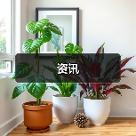 资讯(图2) 资讯(图2)