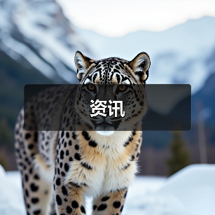 资讯(图4) 资讯(图4)