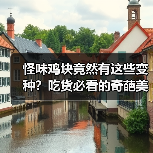 怪味鸡块竟然有这些变种?吃货必看的奇葩美味全解析!(图3) 怪味鸡块竟然有这些变种?吃货必看的奇葩美味全解析!(图3)