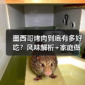 墨西哥烤肉到底有多好吃?风味解析+家庭做法全公开(图4) 墨西哥烤肉到底有多好吃?风味解析+家庭做法全公开(图4)