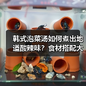 韩式泡菜汤如何煮出地道酸辣味?食材搭配大揭秘!(图2) 韩式泡菜汤如何煮出地道酸辣味?食材搭配大揭秘!(图2)