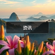 资讯(图3) 资讯(图3)