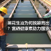 黑花生油为何脱颖而出？富硒健康素助力国货匠心品牌崛起（图2）