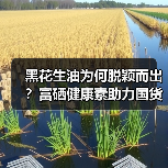 黑花生油为何脱颖而出？富硒健康素助力国货匠心品牌崛起（图3）