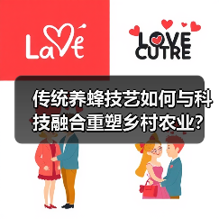 传统养蜂技艺如何与科技融合重塑乡村农业？（图2）