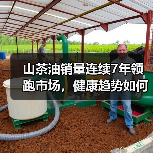 山茶油销量连续7年领跑市场，健康趋势如何推动行业增长？