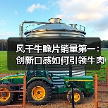 风干牛脆片销量第一：创新口感如何引领牛肉零食新风口？