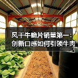 风干牛脆片销量第一:创新口感如何引领牛肉零食新风口?(图2) 风干牛脆片销量第一:创新口感如何引领牛肉零食新风口?(图2)