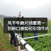 风干牛脆片销量第一:创新口感如何引领牛肉零食新风口?(图3) 风干牛脆片销量第一:创新口感如何引领牛肉零食新风口?(图3)