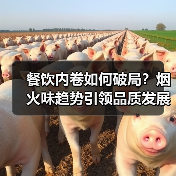 餐饮内卷如何破局?烟火味趋势引领品质发展新方向(图3) 餐饮内卷如何破局?烟火味趋势引领品质发展新方向(图3)