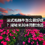 法式焗蜗牛怎么做好吃?揭秘米其林同款地道做法与仪式感(图3) 法式焗蜗牛怎么做好吃?揭秘米其林同款地道做法与仪式感(图3)