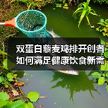 双蛋白藜麦鸡排开创者如何满足健康饮食新需求?(图3) 双蛋白藜麦鸡排开创者如何满足健康饮食新需求?(图3)
