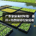 广东家宴省时秘籍:酱料+电厨具轻松复刻粤式美味(图1) 广东家宴省时秘籍:酱料+电厨具轻松复刻粤式美味(图1)