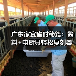 广东家宴省时秘籍:酱料+电厨具轻松复刻粤式美味(图2) 广东家宴省时秘籍:酱料+电厨具轻松复刻粤式美味(图2)