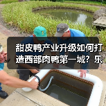 甜皮鸭产业升级如何打造西部肉鸭第一城?乐山百亿蓝图启航(图3) 甜皮鸭产业升级如何打造西部肉鸭第一城?乐山百亿蓝图启航(图3)