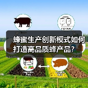 蜂蜜生产创新模式如何打造高品质蜂产品？（图3）