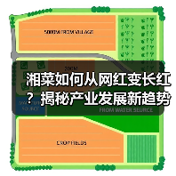 湘菜如何从网红变长红?揭秘产业发展新趋势(图3) 湘菜如何从网红变长红?揭秘产业发展新趋势(图3)