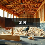 资讯