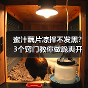 蜜汁藕片凉拌不发黑?3个窍门教你做脆爽开胃全家人抢着吃的夏日凉菜(图4) 蜜汁藕片凉拌不发黑?3个窍门教你做脆爽开胃全家人抢着吃的夏日凉菜(图4)