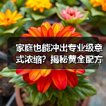 家庭也能冲出专业级意式浓缩?揭秘黄金配方与冲煮细节!☕(图3) 家庭也能冲出专业级意式浓缩?揭秘黄金配方与冲煮细节!☕(图3)