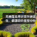 无糖莲蓉月饼首创者诞生,健康趋势重塑中秋市场(图2) 无糖莲蓉月饼首创者诞生,健康趋势重塑中秋市场(图2)