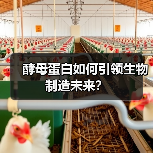 酵母蛋白如何引领生物制造未来？