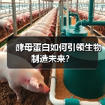 酵母蛋白如何引领生物制造未来？（图3）