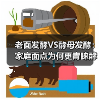 老面发酵VS酵母发酵：家庭面点为何更青睐酵母？