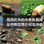 品质优先的水煮鱼品牌如何用双国企标准逆袭？