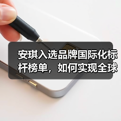 安琪入选品牌国际化标杆榜单,如何实现全球品牌价值增长?(图4) 安琪入选品牌国际化标杆榜单,如何实现全球品牌价值增长?(图4)