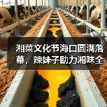 湘菜文化节海口圆满落幕，辣妹子助力湘味全球推广