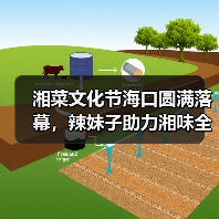 湘菜文化节海口圆满落幕，辣妹子助力湘味全球推广（图3）