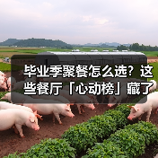 毕业季聚餐怎么选?这些餐厅「心动榜」藏了啥?(图3) 毕业季聚餐怎么选?这些餐厅「心动榜」藏了啥?(图3)