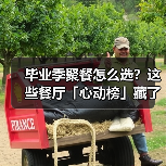 毕业季聚餐怎么选?这些餐厅「心动榜」藏了啥?(图4) 毕业季聚餐怎么选?这些餐厅「心动榜」藏了啥?(图4)
