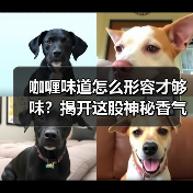 咖喱味道怎么形容才够味？揭开这股神秘香气的隐藏秘密！（图3）