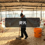 资讯