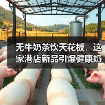 无牛奶茶饮天花板，这家港店新品引爆健康奶茶替代风暴！