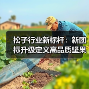 松子行业新标杆：新团标升级定义高品质坚果标准（图2）