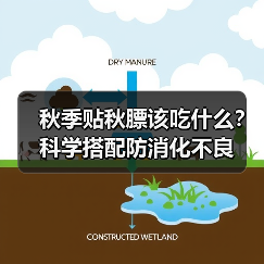 秋季贴秋膘该吃什么?科学搭配防消化不良(图4) 秋季贴秋膘该吃什么?科学搭配防消化不良(图4)