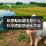 秋季贴秋膘该吃什么?科学搭配防消化不良(图3) 秋季贴秋膘该吃什么?科学搭配防消化不良(图3)