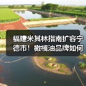 福建米其林指南扩容宁德市！橄榄油品牌如何创新融合中式烹饪？