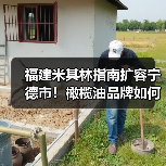 福建米其林指南扩容宁德市!橄榄油品牌如何创新融合中式烹饪?(图3) 福建米其林指南扩容宁德市!橄榄油品牌如何创新融合中式烹饪?(图3)