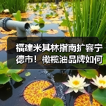 福建米其林指南扩容宁德市!橄榄油品牌如何创新融合中式烹饪?(图4) 福建米其林指南扩容宁德市!橄榄油品牌如何创新融合中式烹饪?(图4)