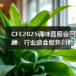 CFE2025调味品展会回顾：行业盛会聚焦创新与可持续发展