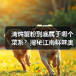 清炖蟹粉到底属于哪个菜系?揭秘江南鲜味奥秘!(图4) 清炖蟹粉到底属于哪个菜系?揭秘江南鲜味奥秘!(图4)