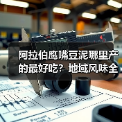 阿拉伯鹰嘴豆泥哪里产的最好吃？地域风味全解析（图2）